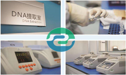 中山親子鑒定根據類型不同需要的材料也不一樣！