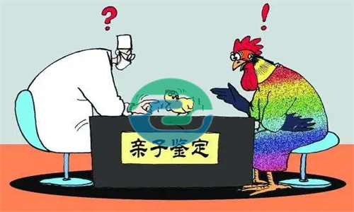 中山匿名親子鑒定結果如何收費？收費會不會更貴一些？