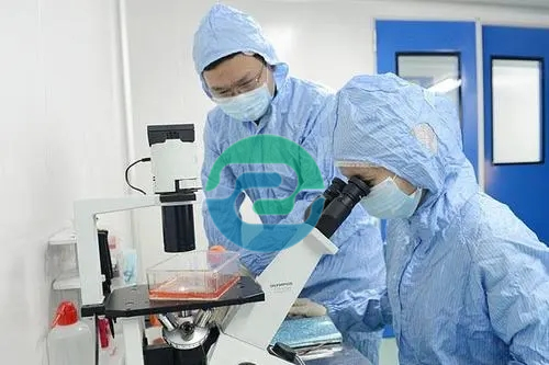 中山親子鑒定要花多少錢呢？什么因素影響價格？