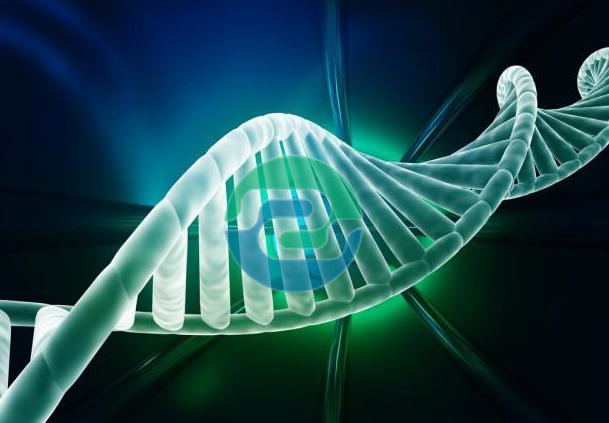 中山親子鑒定結果的解讀和應用