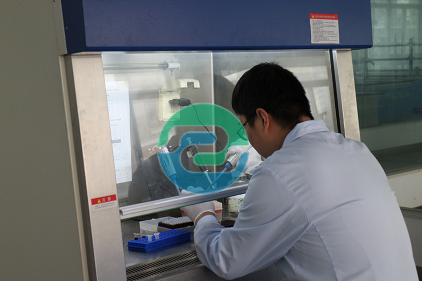 不同類型中山親子鑒定用途、所需材料及流程各不相同！