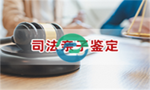 中山親子鑒定的準確率很高，通常達到99.99%以上