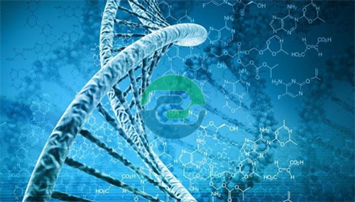 中山親子鑒定是否需要女方的同意？